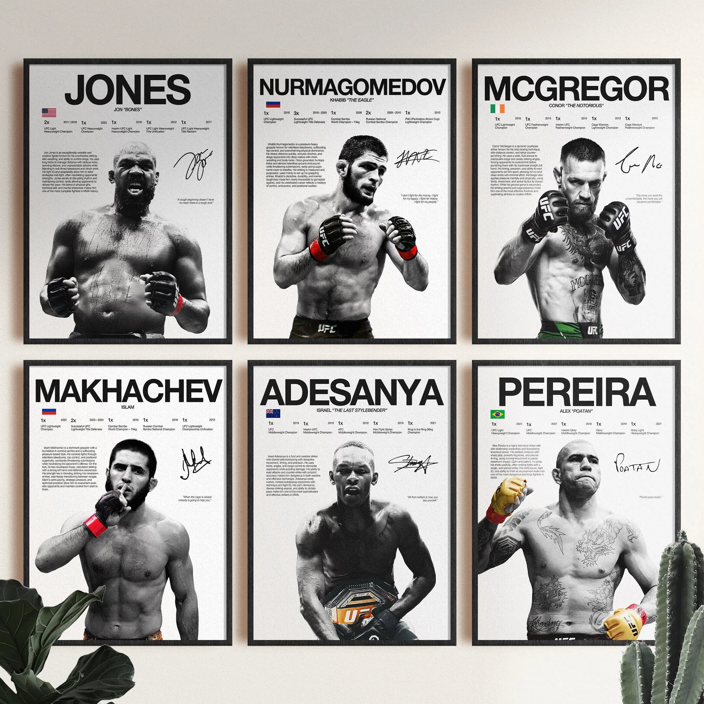 UFC Fighters Living Room & Bedroom Posters